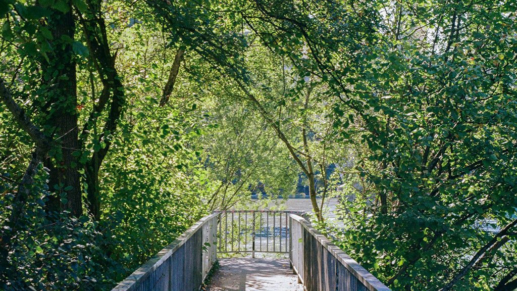 pointe de la jonction